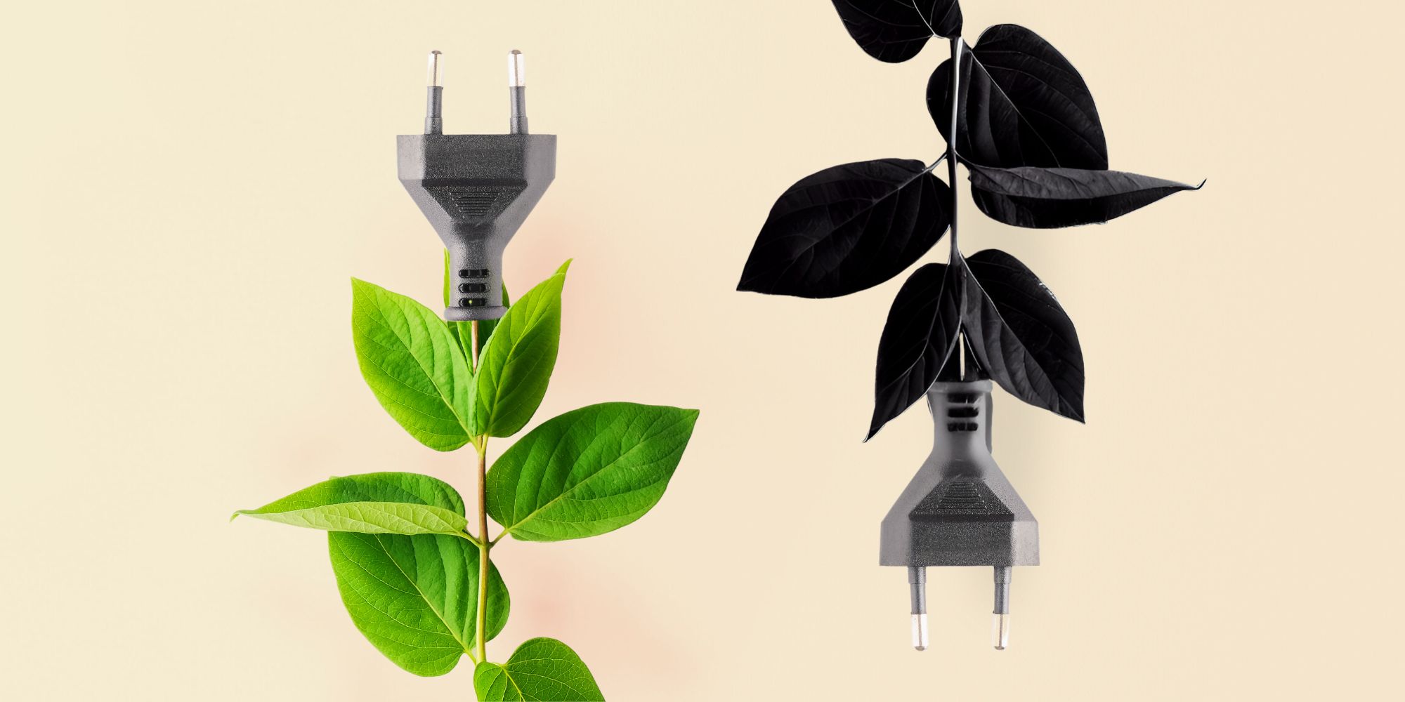 énergie Renouvelables Et Non Renouvelables www.alterna-energie.fr